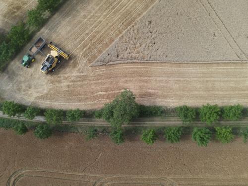 DJI_3625.JPG
